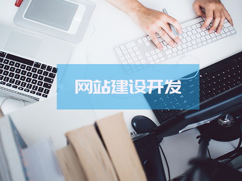 中小型企業(yè)網(wǎng)站建設(shè)怎么做網(wǎng)絡(luò)推廣